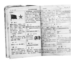 新华字典第11次修订出版 新增对房奴车奴