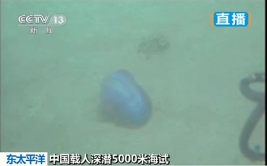 ������5ǧ������Ļ��湫��