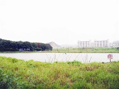 以挖鱼塘为名盗采瓷土?