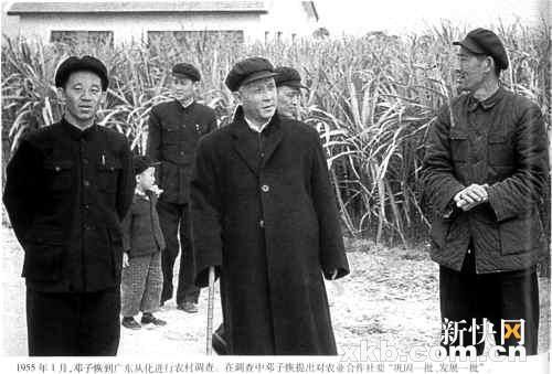 ���ӻ�֮�ӻ��丸��ë���׵㡰ũ��ͳ˧��