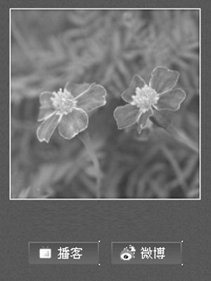 һ��������