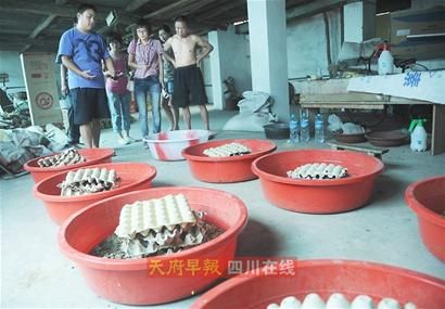 ��Ы�ӳ�û��ע�⣡