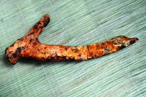 ������¹�ǿ챨���� ʩ��� �� 