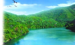 ������̬�����ִ�Ч��ͼ