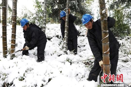 ͼΪ��ƽ��걹��繫˾Ա���ڱ���ѩ���ﶥ��ðѩѲ����·������Ӱ����·���е���ľ��ȷ�������������С�(���� ��)