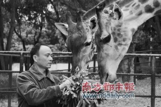 ¹���軳�������Ź���