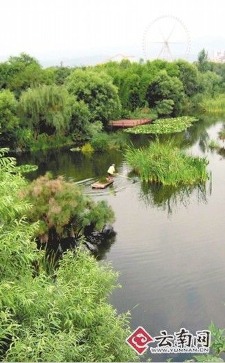 积极探索管护方式 云南拟筹资18亿保护湿地