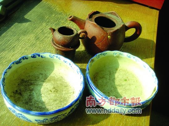 巧搭绿植,烂缸瓦变身艺术盆景