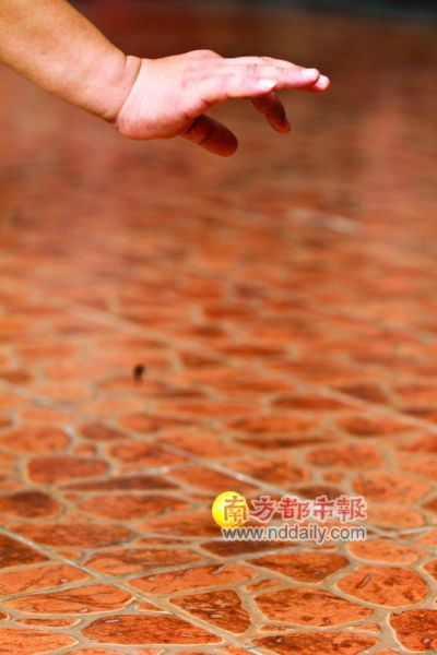 又现乒乓蛋答曰冻坏了