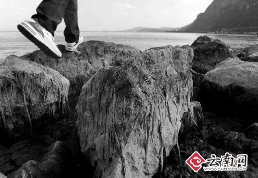 ���ӵ��ɿ����͵��ˮλ�½�40����