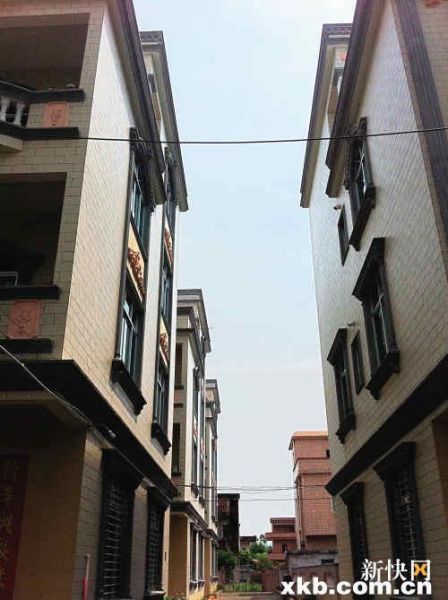“广东最富渔村”靠什么致富?