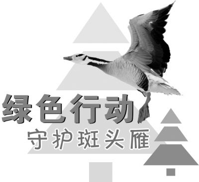 700ֻ��ͷ�㡰�Ը衱��ż