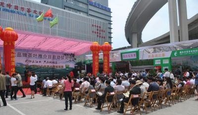 采花毛尖进军国际大都市巡回展上海站精彩上演