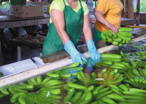 菲律宾总统相信黄岩岛事件很快会解决