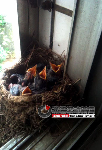 һ���Ӹ����������ڳ�ɳ�����Ǽ������ַ���[��]