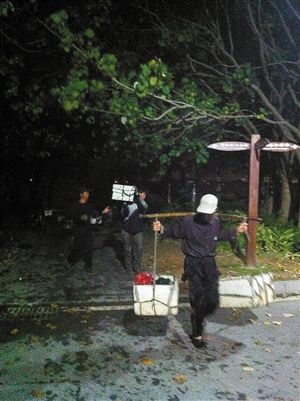 数百人一夜捞走几千斤贝壳