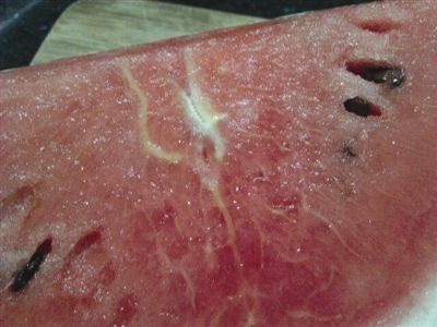 白茎西瓜是否打了激素? 专家:白茎是粗纤维