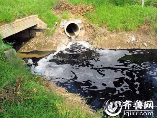 企业污水直排河道 报案后高唐环保局称污水小