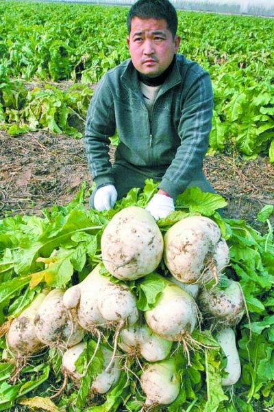 社科院专家微博关注萝卜哥 称一定会去看看韩