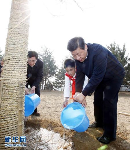 七常委集体参加义务植树 习近平连种4棵(图)|习