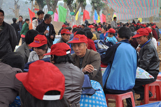 南水北调移民清明节淅川寻根千年古树寄托思乡情