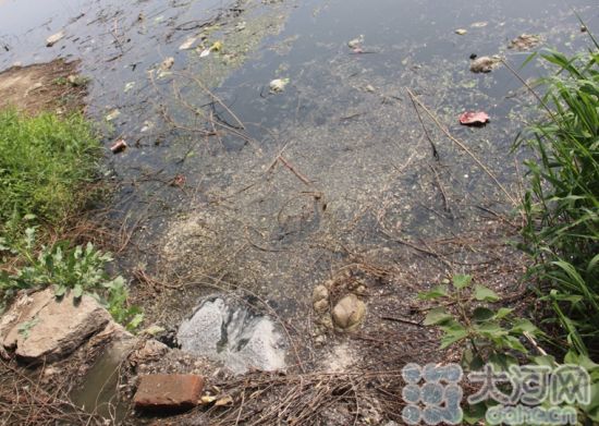 ͼΪ���ۿ���ˮԴԴ�����������