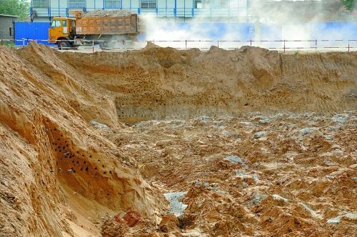 河南新郑工地为保护上万只燕子停工获赞(图)|河