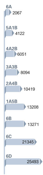 2020年中考6A排名_2020柳州中考成绩放榜,用实力展现专业,6A+、5A+见证益学