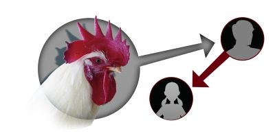 H7N9;ʾͼ