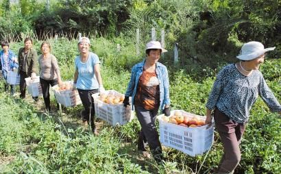 袁姓有多少万人口_貌、   多万袁姓人口的