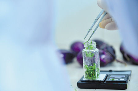 自建检测室,农药残留随时查