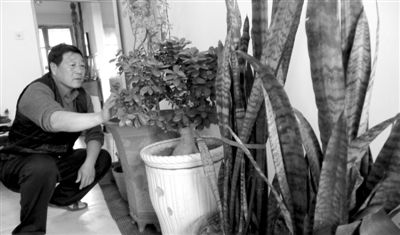 大庙社区有个花王王敬春