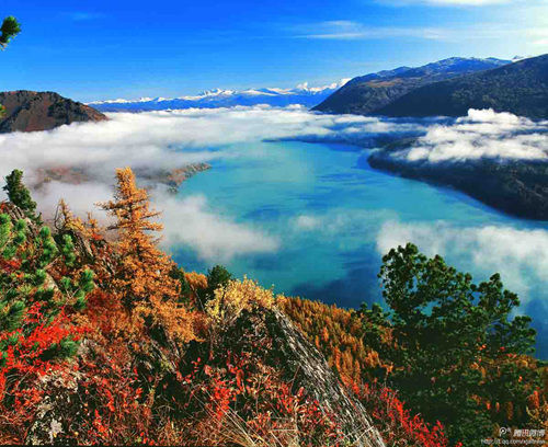 新疆喀纳斯国家级自然保护区入选中国最美森林