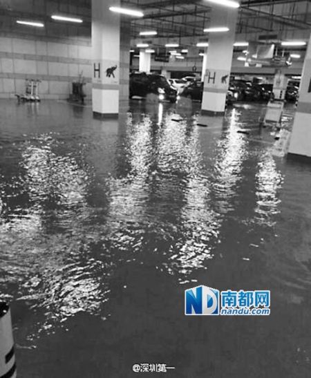 深圳新机场变身水帘洞