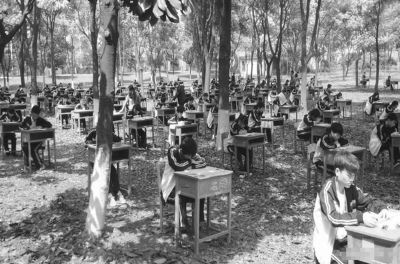 学校为防作弊考场搬进树林