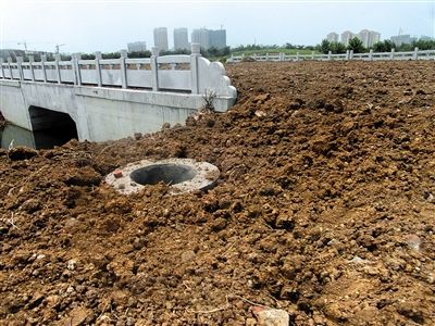 泗洪多条新修柏油路被盖上土种黄豆，路面被盖住后，桥栏杆和地下管道井仍十分醒目。