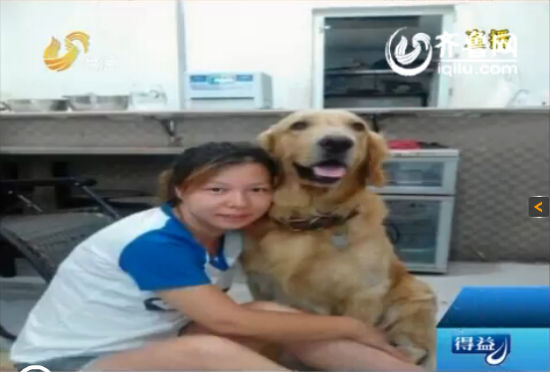 爱狗女群相册_爱狗群截图_女爱狗_猫爱狗 - 新郑新闻 ...