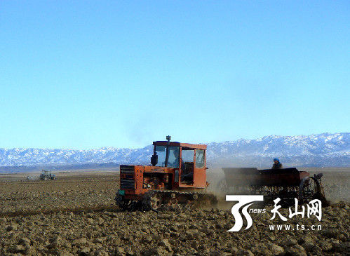 新疆裕民县农民抓紧时间播种冬小麦