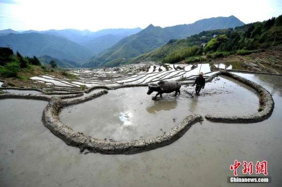 ���죺������2020�껯��ũҩʹ����ʵ��������