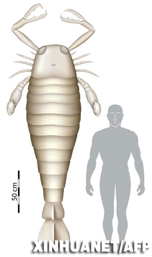 英国发现数亿年前2.5米古巨蝎化石(图)_新闻中