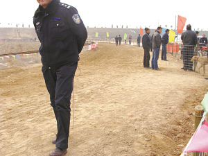 陕西渭南公开赛狗赌博(组图)