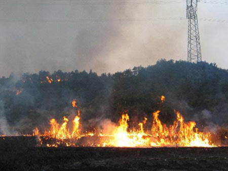 组图:江西宜春特大森林火灾烧毁千亩山林