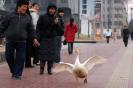 ͼ�ģ�SOHO�޶�