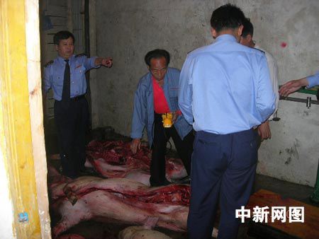广东乐昌查获三千斤不明死因猪肉(组图)