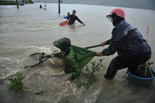 ��������65����������3����ũ������(��ͼ)