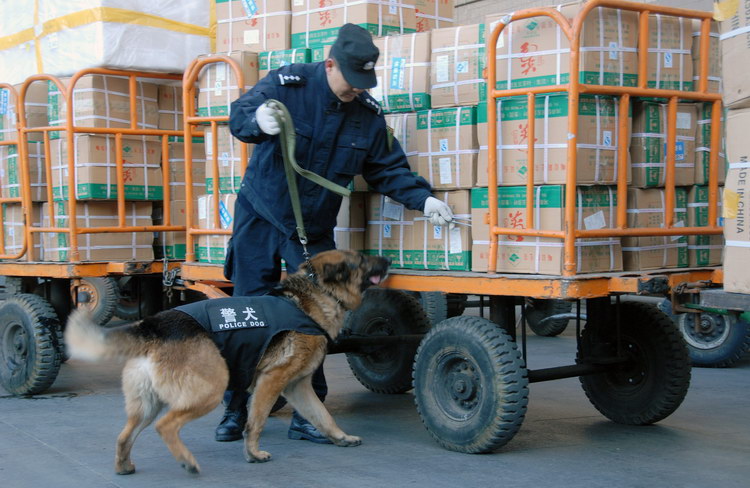 图文:排爆犬巡查北京西站春运货物