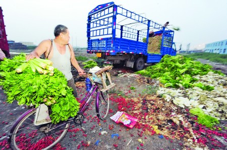 济南受高温影响每日扔掉40吨腐烂蔬菜(组图)