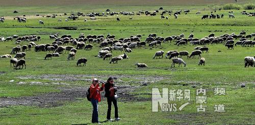 组图：初秋呼伦贝尔旅游持续升温