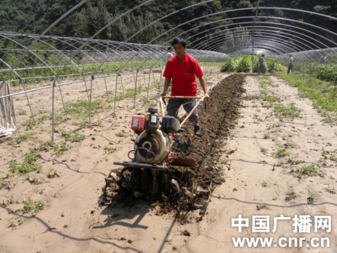 陕西略阳洪灾过后抢种忙（图）