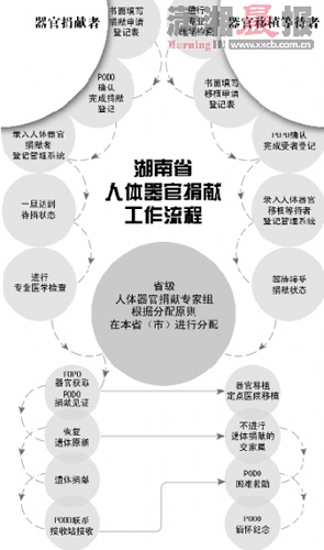 湖南省开始试点人体器官捐献(图)